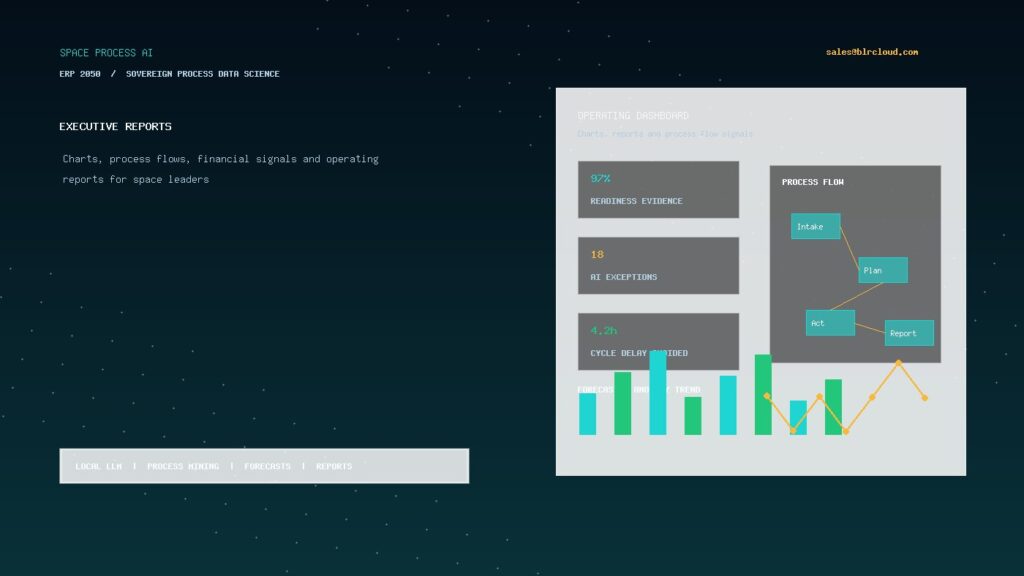 Space Process AI Space Process AI executive reports with charts and process flows for Demand Sensing